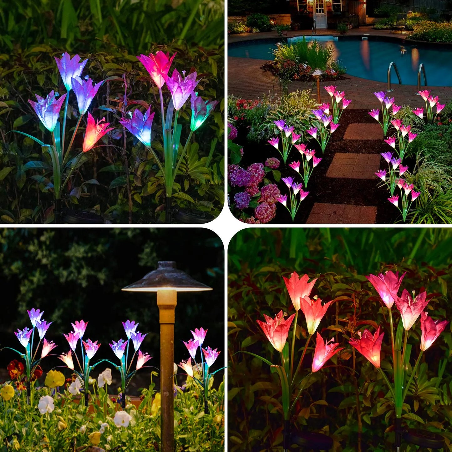 Solar Powered Flower Lights with Lily Flower
