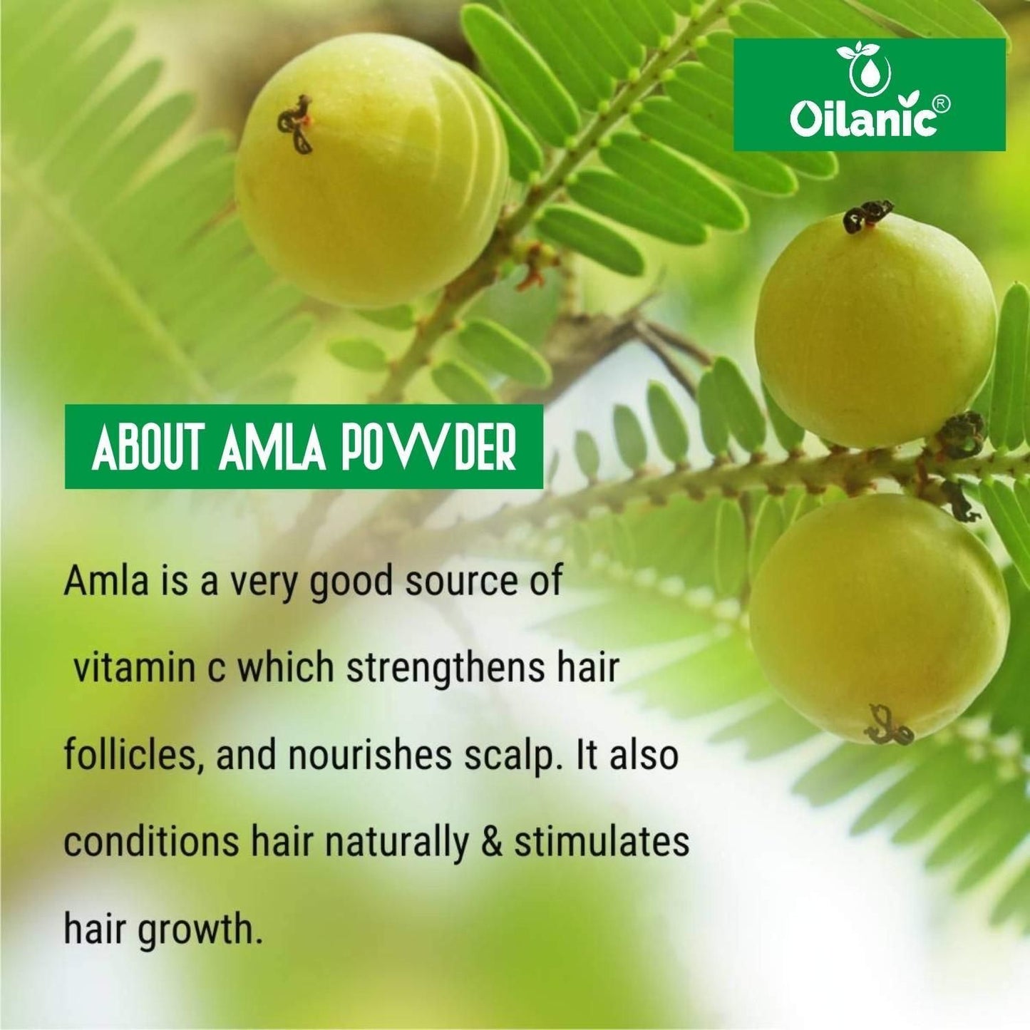 Natural Kaolin Clay & Amla Powder for Hair Pack of 2