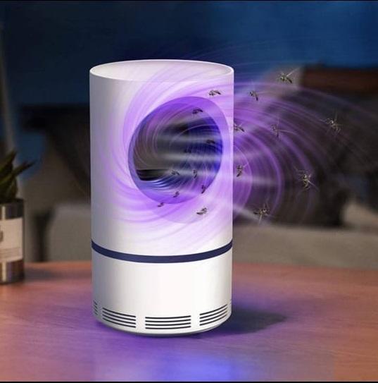 Blue and purple light-emitting device on dark wooden table in dimly lit room with a small plant on a shelf and an open book nearby.